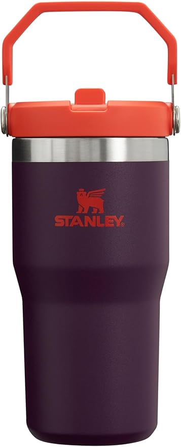 Stanley IceFlow Flip Straw Tumbler with Handle 20 oz | Twist On Lid and Flip Up Straw | Leak Resistant Water Bottle | Insulated Stainless Steel |BPA-Free | Plum