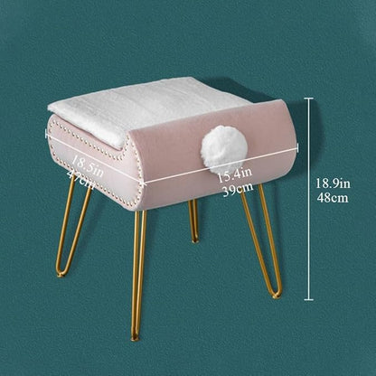 Square Vanity Stool with Storage, Modern Vanity Chairs with Furry Padded Seat, Stylish Foot Stool for Living Room, Makeup Stool for Bedroom
