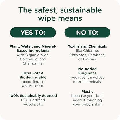 HealthyBaby Our Wet Wipes | EWG Verified Safe | 100% Water & Plant Based | Unscented & Safe for Sensitive Skin | Fragrance Free and Totally Chlorine Free (4 packs, 256 wipes)