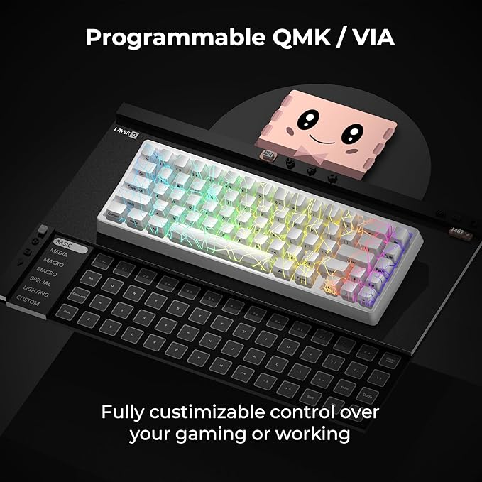x XVX M67 Wireless 60% Percent Keyboard, QMK/VIA Gaming Keyboard, Tri-Mode Thocky Creamy Mechanical Key Board, Hot Swappable Gasket Mount RGB IMD Tech for Win/Mac, Spider Web Theme, White
