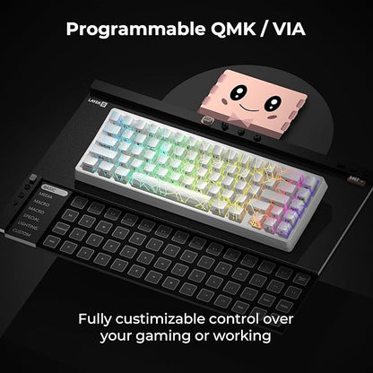 x XVX M67 Wireless 60% Percent Keyboard, QMK/VIA Gaming Keyboard, Tri-Mode Thocky Creamy Mechanical Key Board, Hot Swappable Gasket Mount RGB IMD Tech for Win/Mac, Spider Web Theme, White