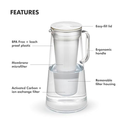 LifeStraw Home – Water Filter Pitcher, 7-Cup, Obsidian, BPA Free Designed for Everyday Protection Against Bacteria, parasites, microplastics, Lead, Mercury, PFAS, and a Variety of Chemicals