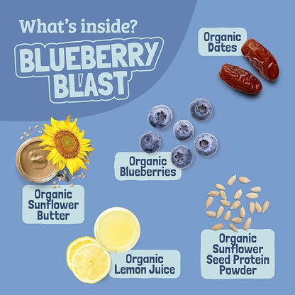 Skout Organic Blueberry Blast Real Kids Snack Bars (18 Pack) | Organic Kids Snack Bars | Plant-Based Nutrition, No Refined Sugar | Vegan | Gluten, Dairy, Grain, Peanut, Tree Nut & Soy Free