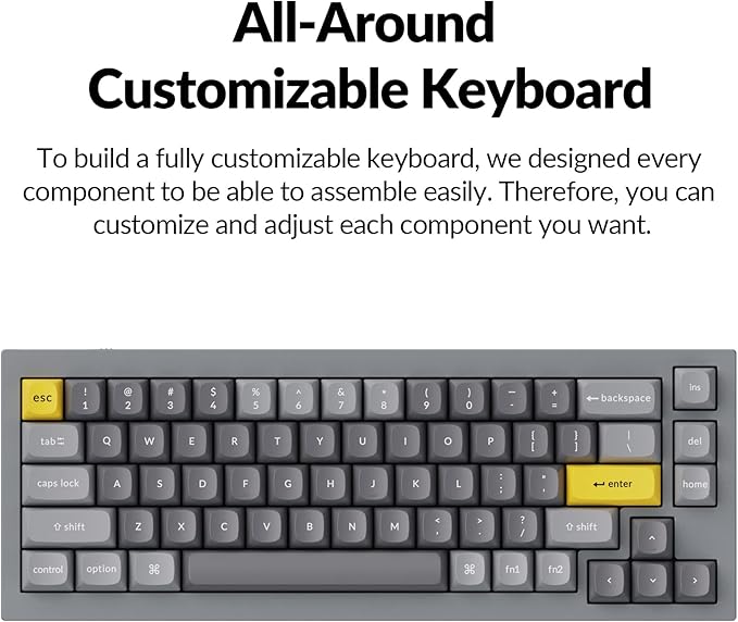 Keychron Q2 Wired Custom Mechanical Keyboard, QMK/VIA Programmable Macro, Full Aluminum, Hot-Swappable Gateron G Pro Brown Switch, 65% Layout Double Gasket Compatible with Mac and Windows - Grey