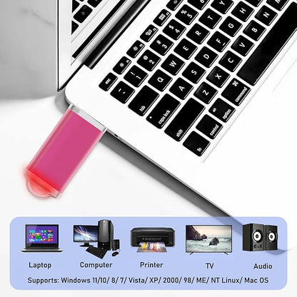 2GB USB Flash Drive 1 Pack Nicepicten Thumb Drives Zip Drive USB 2.0 Jump Flash Drive Memory Stick 2GB with Lanyards (Pink)