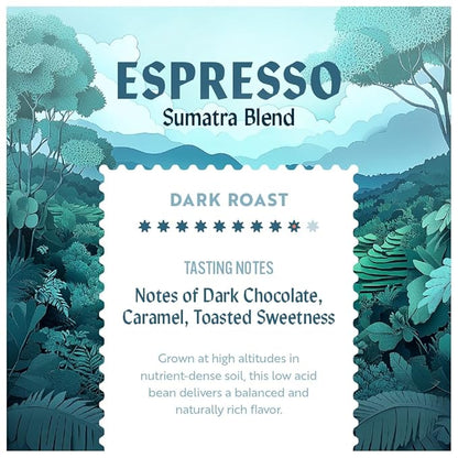 Clean Coffee Co. - Low Acid Medium-Dark Roast, Tested for Molds and Toxins, Papua New Guinea Blend, Notes of Milk Chocolate and Roasted Almonds (12 Ounce (Pack of 1), Espresso - Whole)
