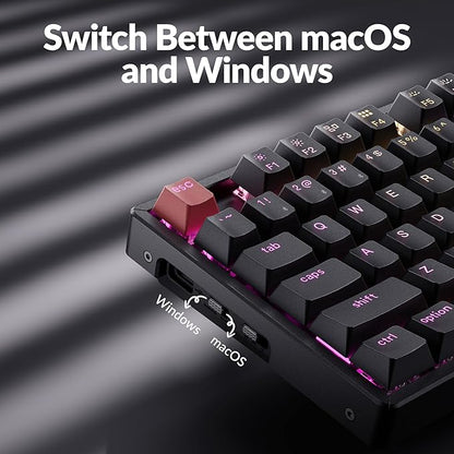 Keychron K8 Version 2 TKL Wireless Mechanical Keyboard, QMK/Launcher Bluetooth 5.2/Wired, RGB Backlit Shine-Through PBT Keycaps, Super Red Switch, Aluminum Frame for Mac Windows Linux