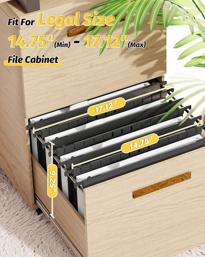 Ansook Extra Capacity Legal Size Plastic Hanging File Folders,12 Pack Reinforced Legal Hanging Folder with Heavy Duty 2 Inch Expansion,Filing Cabinet Folder,for Bulky Files, Medical Charts,Black