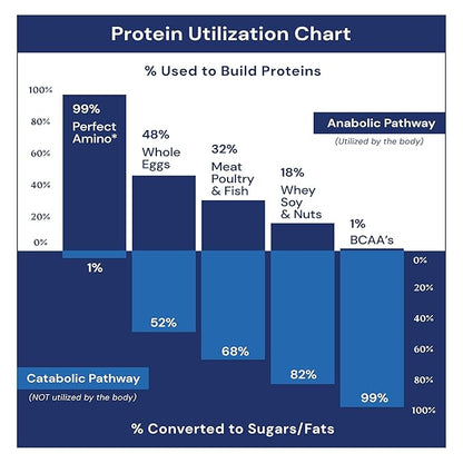 BodyHealth PerfectAmino Bar – Protein Energy Snack with 10g Protein, Plant-Based MCTs, Superfood Blend, Non-GMO, Gluten, Dairy & Soy Free (Brownie, 12 Pack)