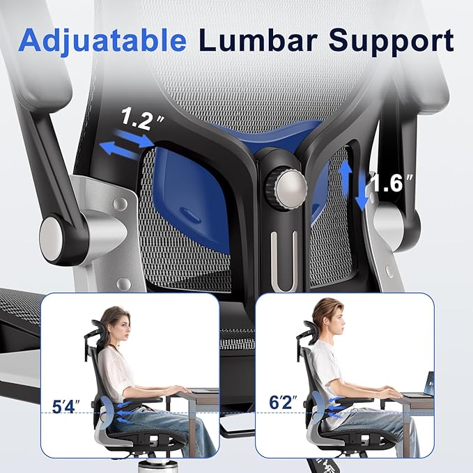 Ergonomic Office Chair，Mesh Seat Cushion with 3D Armrests and 3D Headrest, Adjustable Lumbar Support with Rocking Function, SGS Class 4 Gas Clylinder，Black