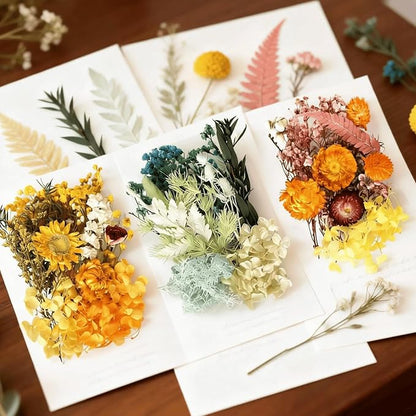 2PCS Dried Flowers Kit, Natural Dried Flowers Kit for DIY Crafts, Scrapbook, Card Making (Style18_24_27)