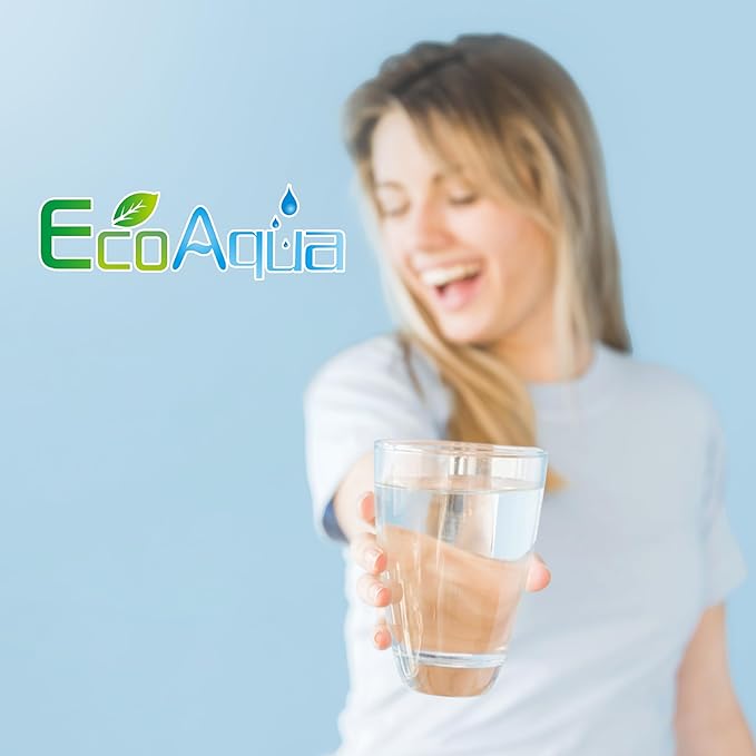 EcoAqua 4396841 Replacement for Everydrop庐 Filter 3, EDR3RXD1, EDR3RXD1B, 4396710, 9083, 9030, 46-9020, 46-9020P, P1WB2, P1WB2L Refrigerator Water Filter, 2 Filters