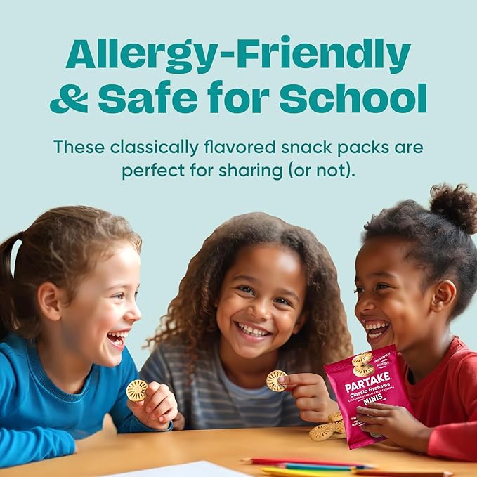 Gluten Free Partake Classic Graham Cracker Minis - Vegan - Free From the Top 9 Allergens Including Dairy, Wheat, Soy, Eggs, & Peanuts - Non GMO - Safe School & Office Snack (20 Packs, 0.67 oz)