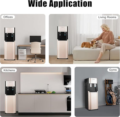 Bottom Loading Water Dispenser with Hot & Cold Functions, 20L/5.28Gal Capacity, 304 Stainless Steel Tank, 450W Fast Heating for Home & Office Use, Dark Gray