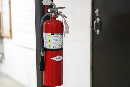 Amerex B456 10 lbs ABC Dry Chemical Fire Extinguisher with Wall Bracket