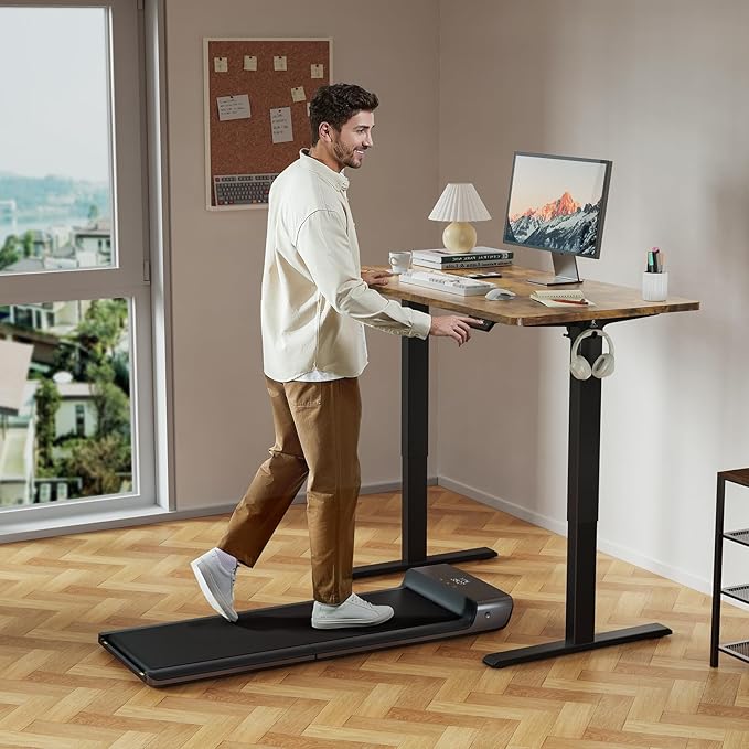 48x24 Inches Height Adjustable Electric Standing Desk with 2 Hooks for Home Office, Ergonomic Sit Stand up Desk with Splice Board, Rustic Brown