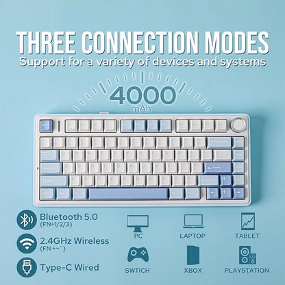 EPOMAKER x Aula F75 Gasket Mechanical Keyboard, 75% Wireless Hot Swappable Gaming Keyboard with Five-Layer Padding&Knob, Bluetooth/2.4GHz/USB-C, RGB (Sea Salt Blue, LEOBOG Reaper Switch)