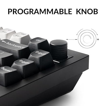 Keychron Q1 HE Wireless Custom Mechanical Keyboard with Hall Effect Gateron Double-Rail Magnetic Switch Rapid Trigger, QMK 2.4 GHz Bluetooth 5.2 RGB Compatible with Mac Windows Linux (Hot-swappable)