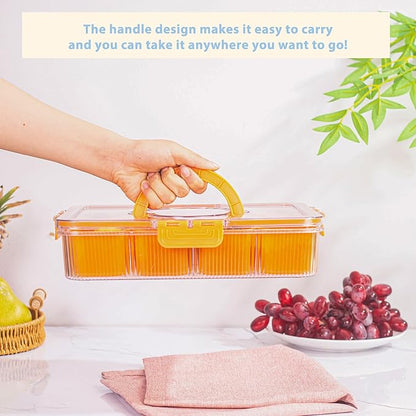 Patent Design Ribbed Snackle Box Container Divided Serving Tray with Lid and Handle -Charcuterie Container Portable Storage Organizer for Candy, Fruit, Beach, Picnics（1 pcs, Lake blue）
