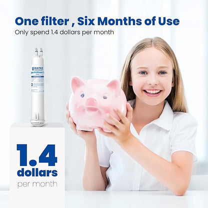 Waterspecialist WS608 Water Filter, Replacement for 4396841, Everydrop® Filter 3, EDR3RXD1, 4396710, Kenmore® 46-9083, 46-9030, Refrigerator Water Filter, 1 Filter