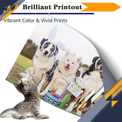 330-3578 330-3581 330-3580 330-3579 Toner Cartridge, Compatible for Dell 1230C 1230cn 1235cn Multifunction Color Laser Printers —— High Print Volume with Chip Black*2