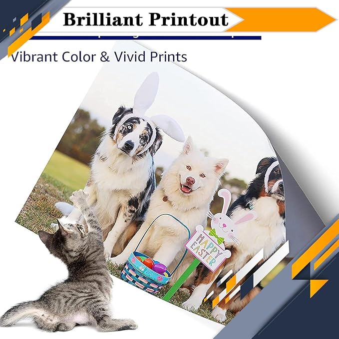 330-3578 330-3581 330-3580 330-3579 Toner Cartridge, Compatible for Dell 1230C 1230cn 1235cn Multifunction Color Laser Printers —— High Print Volume with Chip BYMC 4 pcs
