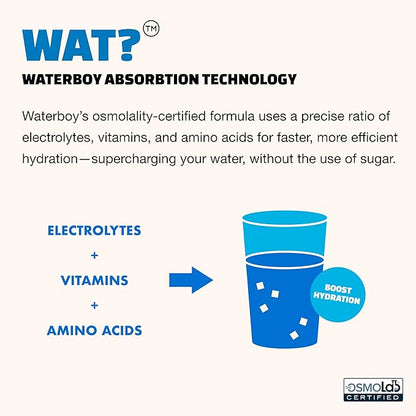 Waterboy Daily Hydration | 1,570mg Electrolyte Powder Packets | No Sugar, All Natural, Gluten Free, Zero Calories | 15 Drink Stick Mixes (Blue Raspberry)