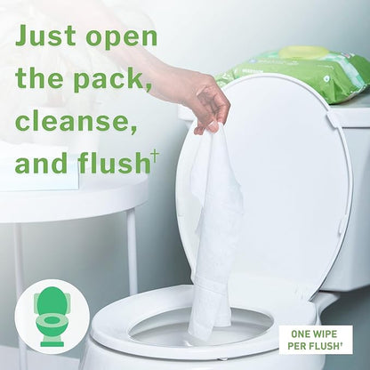 McKesson Flushable* Adult Wet Wipes XL – 576 Wipes (6 Pack of 96) – Aloe & Vitamin E, Plant-Based Cleansing Wipes, Unscented, Extra Large