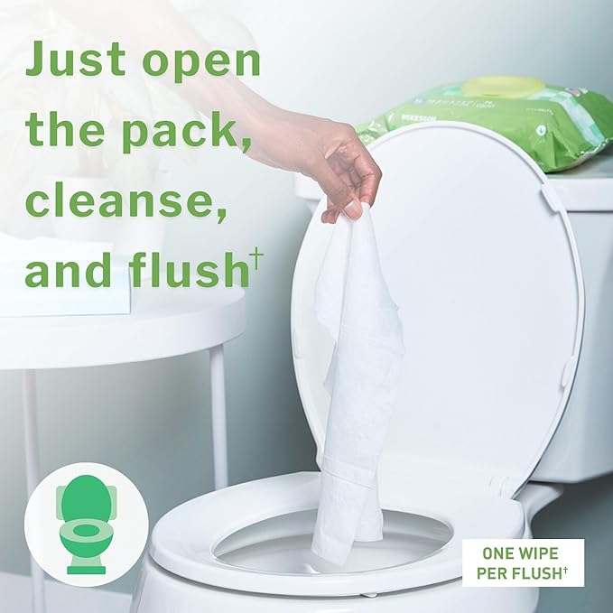 McKesson Flushable* Adult Wet Wipes XL – 576 Wipes (12 Pack of 48) – Aloe & Vitamin E, Plant-Based Cleansing Wipes, Unscented, Extra Large