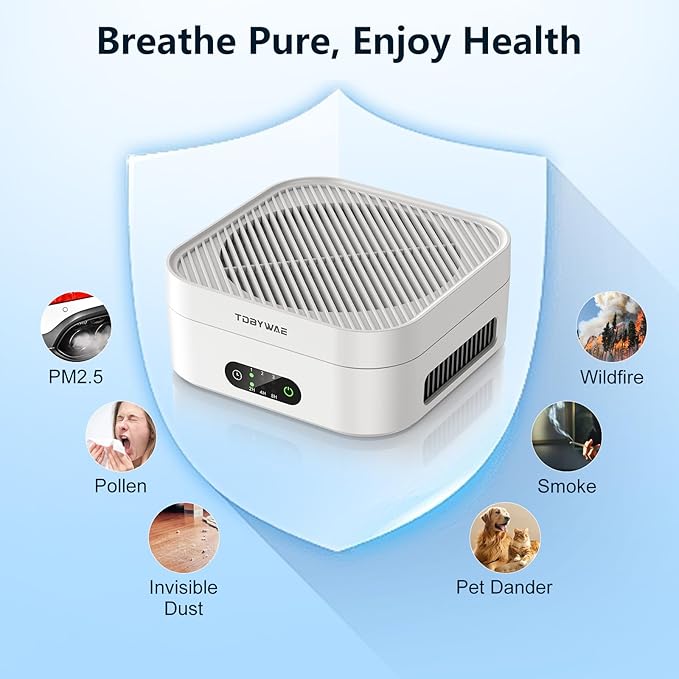 Air Purifiers for Home – True HEPA Air Purifier for Pets, Smoke & Allergies | 600 Sq Ft Coverage | Ultra-Quiet & Portable Small Air Purifier for Bedroom/Travel/Desk/Office/RV