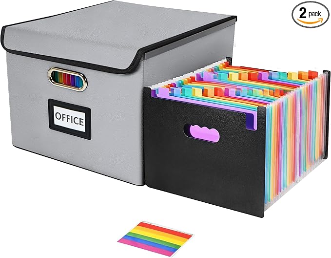 File Organizer Box with Folder, Accordion File Organizer 25 Pockets, File Folder Organizer with Lid for Home, Office, School, Silver