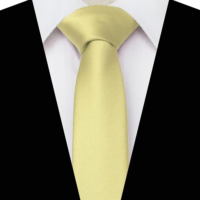 JEMYGINS 2.4" Solid Color Skinny Tie Slim Necktie for Men