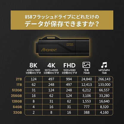 MMOMENT MU G03 256GB Flash Drive USB 3.2 (USB 3.1/ USB3.0) USB Flash Drive, Read Speed up to 100MB/s Thumb Drive Memory Stick