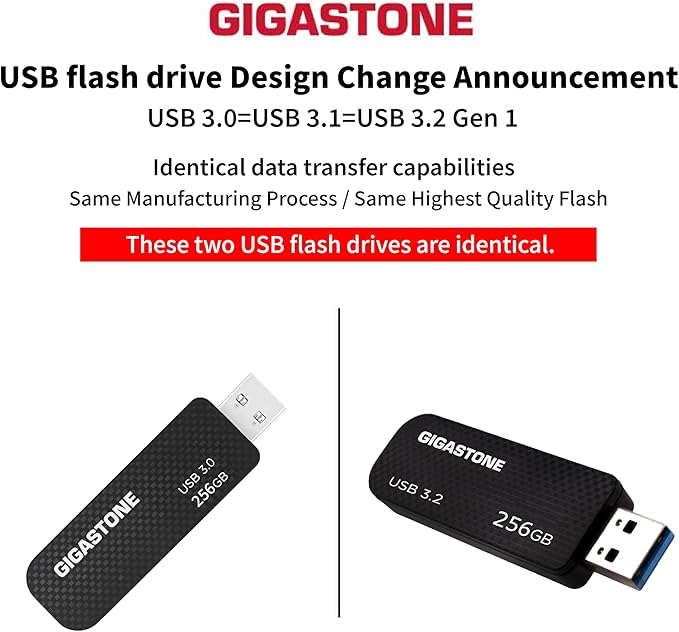 GIGASTONE 256GB Flash Drive, Z30 USB 3.2 Gen 1, 100MB/s Ultra Fast, Keychain Loop, Carbon Fiber Style, Push-Pull Design, Data Storage, Backup for PC/Mac/TV/Car, USB 2.0/3.0/3.1 Compatible