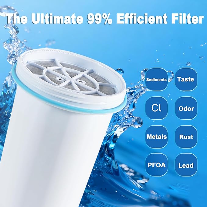 0 TDS Water Filter Replacement for Zero Pitcher & Dispenser | Upgraded 6-Stage Filtration | Removes 99.9% of Lead, Chromium, PFOA/PFOS | Compatible with ZR-001, ZR-004, ZR-017 | 2-Pack