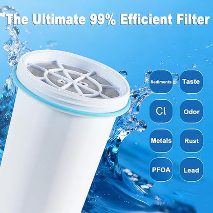 0 TDS Water Filter Replacement for Zero Pitcher & Dispenser | Upgraded 6-Stage Filtration | Removes 99.9% of Lead, Chromium, PFOA/PFOS | Compatible with ZR-001, ZR-004, ZR-017 | 2-Pack