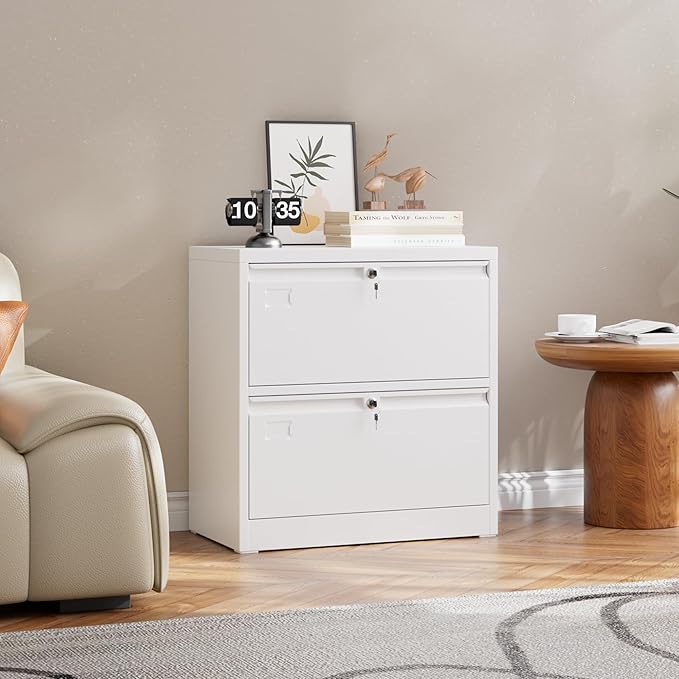 SUXXAN Metal 2 Drawer Lateral File Cabinet with 2 Lock - Wide Filing Cabinet for Letter/Legal/F4/A4 Hanging Files - Includes Business Card Holder,Home Office School Storage,White