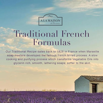 A LA MAISON French Liquid Hand Soap RefilL - Natural Hand Wash Made with Essential Oils - Biodegradable, Plant-Based, Vegan, Cruelty-Free (33.8 Fl Oz Pouch, 2 Pack, Provence Lemon)