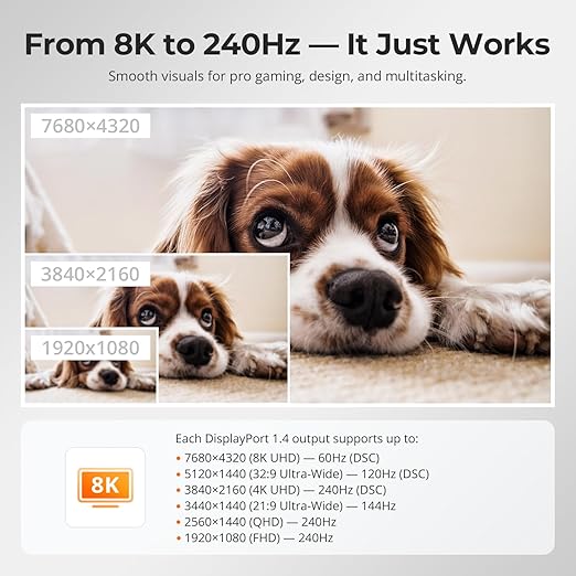 TESmart 8K@60Hz DP KVM Switch 2 Monitors 2 Computers EDID, DP 1.4 KVM Switch Dual Monitor 4K@144Hz for Gaming Dock, Support USB3.0, Gigabit Network, Hotkey Switch, Audio & Mic with All Input Cables