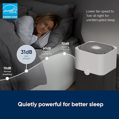 BLUEAIR Air Purifier Large Room, Air Cleaner for Dust Pet Dander Smoke Mold Pollen Bacteria Allergen, Odor Removal, for Home Bedroom Living Room, Washable Pre Filter, HEPASilent, Blue 211+ (Non-Auto)