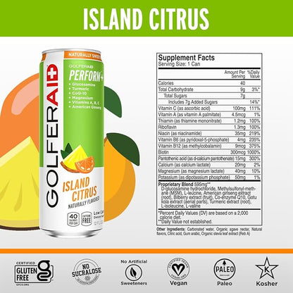 GOLFERAID Performance Blend, Up Your Golf Game, No Caffeine, Glucosamine, Turmeric, MSM, CoQ10, B-Complex, BCAAs and Electrolytes, 40 Calories, 100% Clean, Paleo, Vegan, 12-oz. cans (Pack of 24)