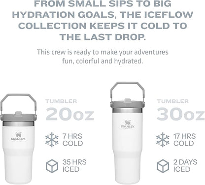 Stanley IceFlow Flip Straw Tumbler with Handle 30 oz | Twist On Lid and Flip Up Straw | Leak Resistant Water Bottle | Insulated Stainless Steel |BPA-Free | Polar
