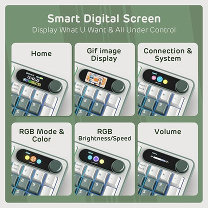 RK ROYAL KLUDGE S98 Mechanical Keyboard w/Smart Display & Knob, Top Mount 96% Wireless Mechanical Keyboard BT/2.4G/USB-C, Hot Swappable, Software Support, Creamy Sounding, 98 Keys