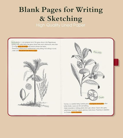 PAIBAS Blank Journal Notebook for Women Men,160 Pages,A5 Hardcover Sketchbook for Drawing, Sketch book, Unlined Notebooks for School,Work, Note Taking,Travel Journals for Writing 5.8"x8.5" (Burgundy)