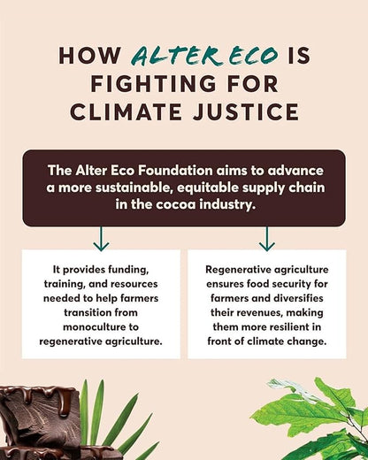 Alter Eco | Mint Creme Truffles | 58% Pure Dark Cocoa, Fair Trade, Organic, Non-GMO, Gluten Free Dark Chocolate Truffles | 60 Truffles