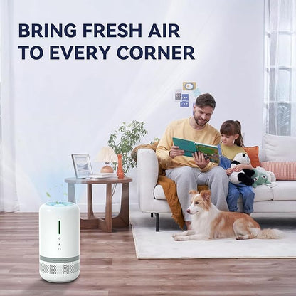 Air Purifiers for Home,H13 HEPA Small Air Purifier for Room up to 960ft²,Air Purifiers for Home Pets,Odor,Dust,Quiet Air Cleaner for Office,Living Room,Bedroom,White 2 Pack