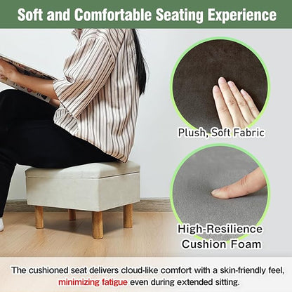 lumizone Small Ottoman with Storage Footstool Compact Foot Rest Stool for Living Room Under-Desk Entryway or Bedroom 10.63" Low-Height Storage Ottoman Cube Lightweight & Stylish (Print)