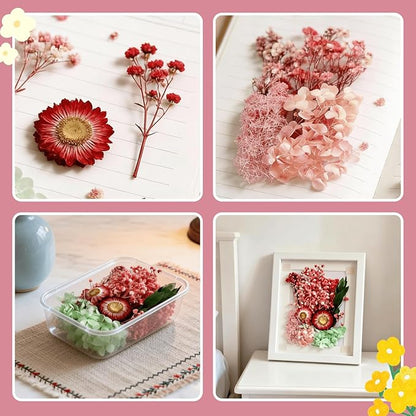 2PCS Dried Flowers Kit, Natural Dried Flowers Kit for DIY Crafts, Scrapbook, Card Making (Style_5_34)