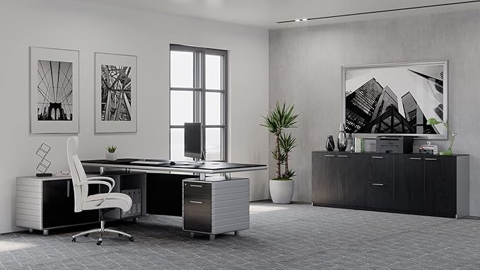 ZURI Furniture Reagan Modern Polished Storage & Filing Cabinet Credenza - Black