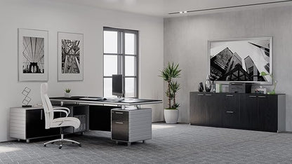 ZURI Furniture Reagan Modern Polished Storage & Filing Cabinet Credenza - Black